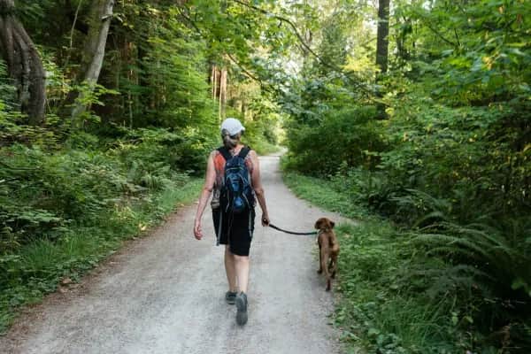 Maria Alm Chesa Montana Ferienwohnung hundefreundlich direkt an der Skipiste