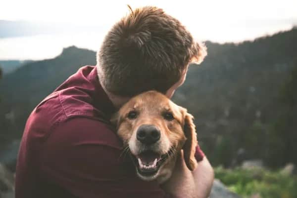Hundefreundliches Apartment im Pinzgau