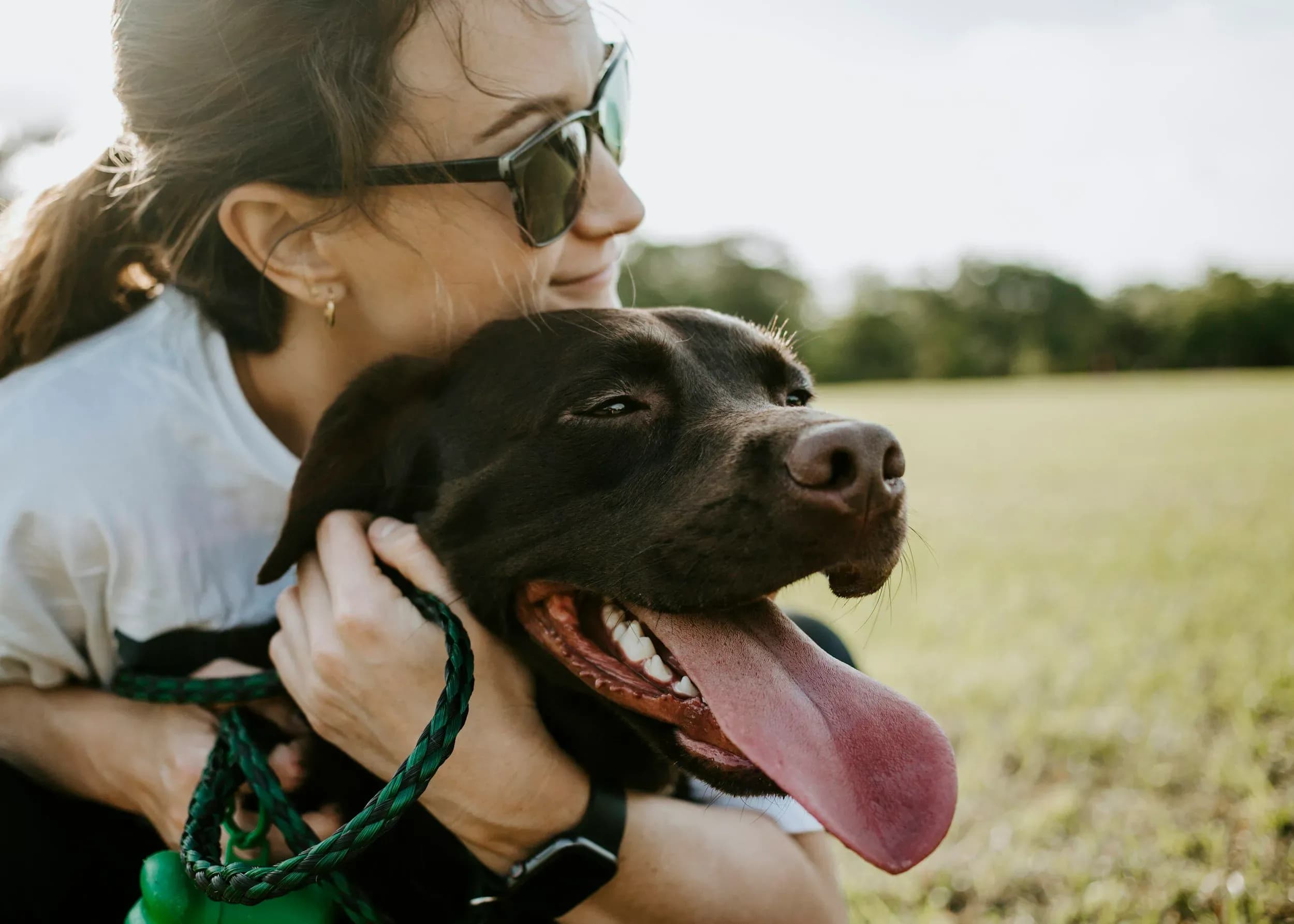 Urlaub mit Hund im Salzburger Land