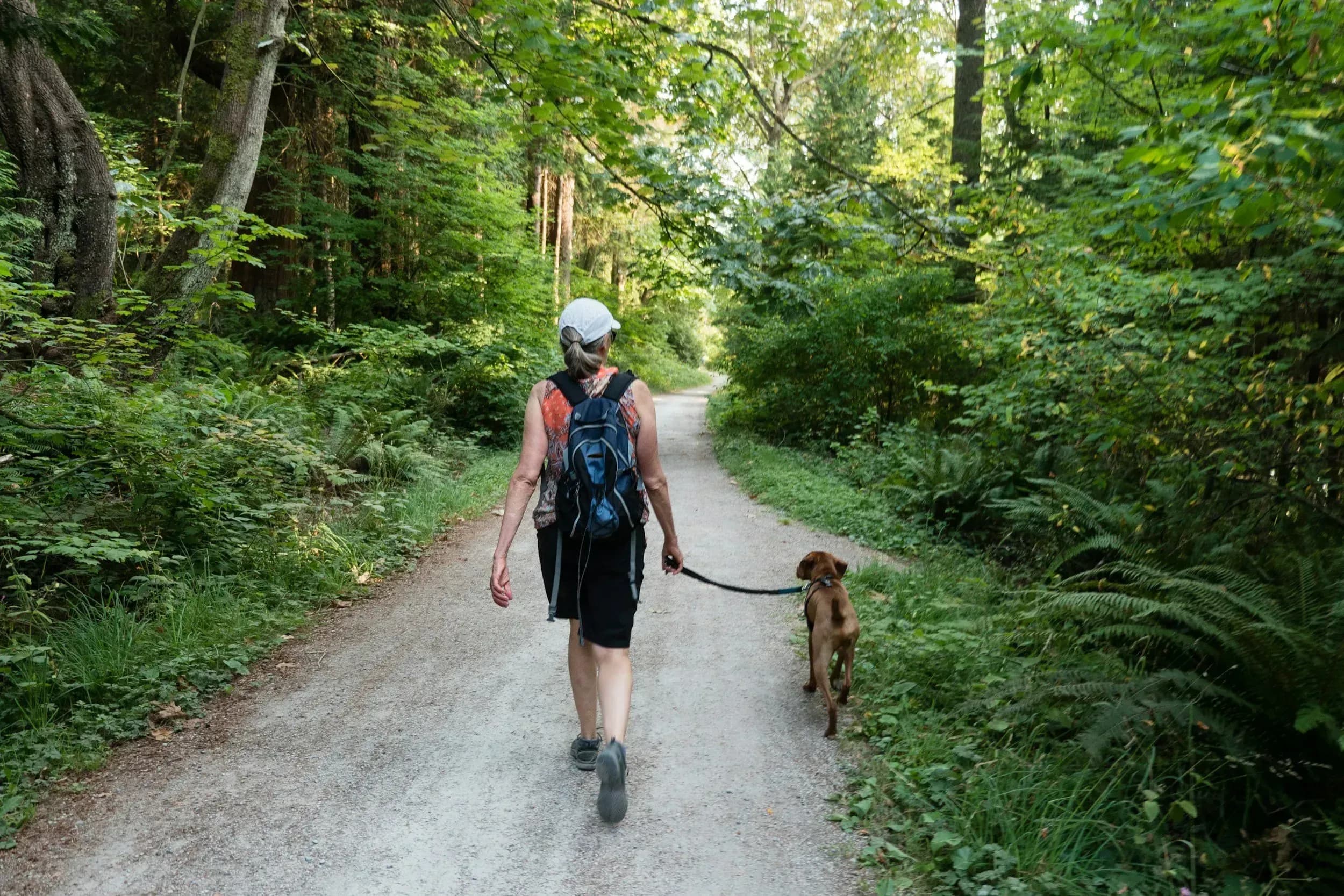 Chesa Montana in Maria Alm, Familienurlaub mit Hund und sportlichen Aktivitäten