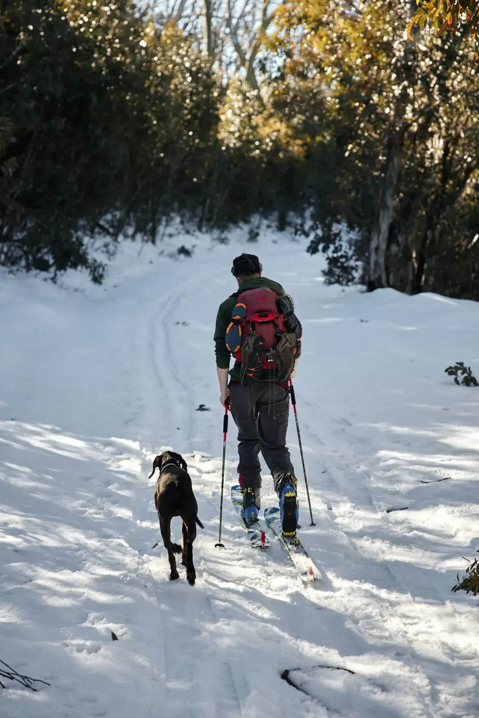Chesa Montana Maria Alm Urlaub mit Hund Skiurlaub Ferienwohnung direkt an der Piste