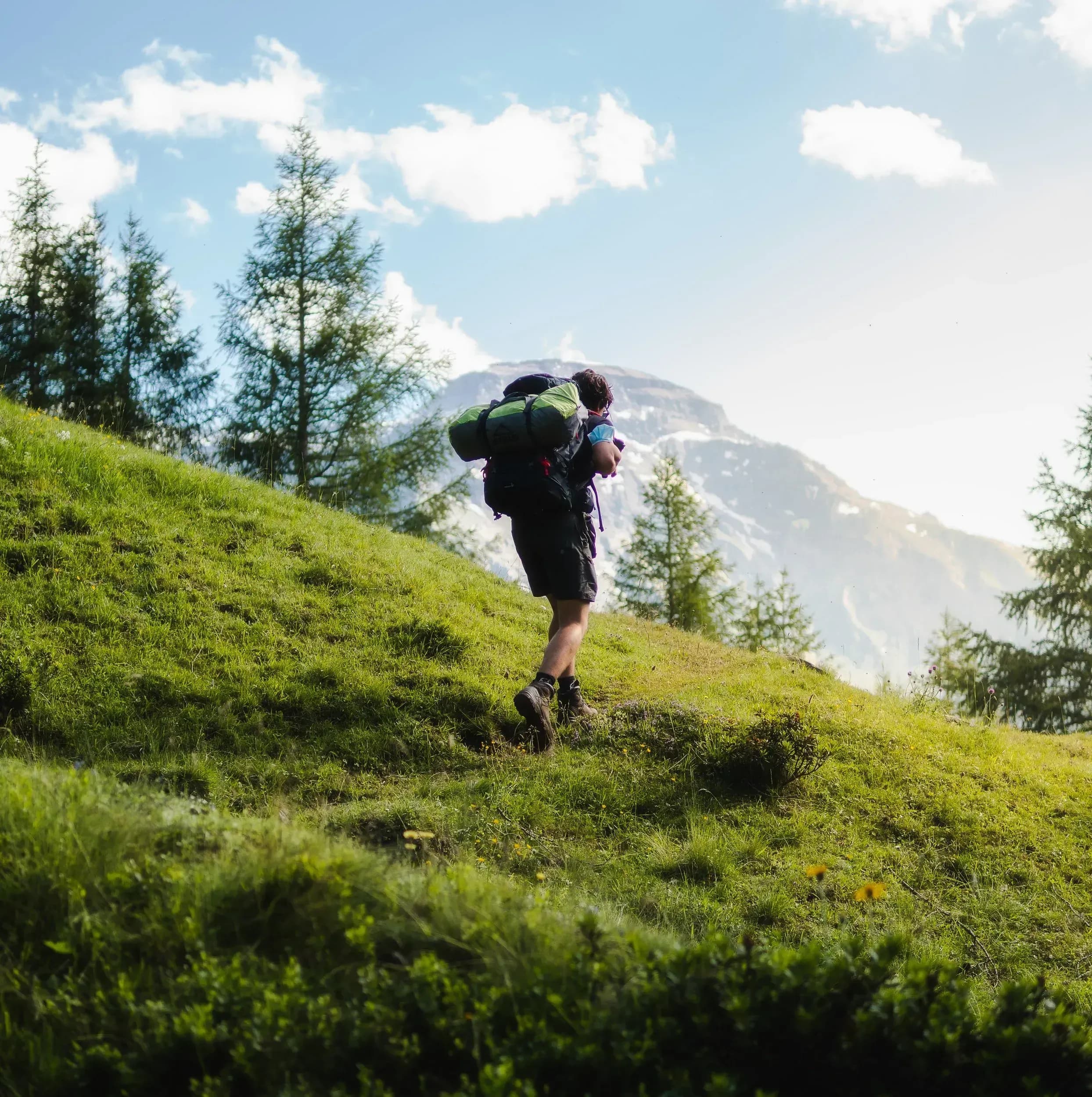 Chesa Montana in Maria Alm Sommer und Winterurlaub in Ferienwohnungen