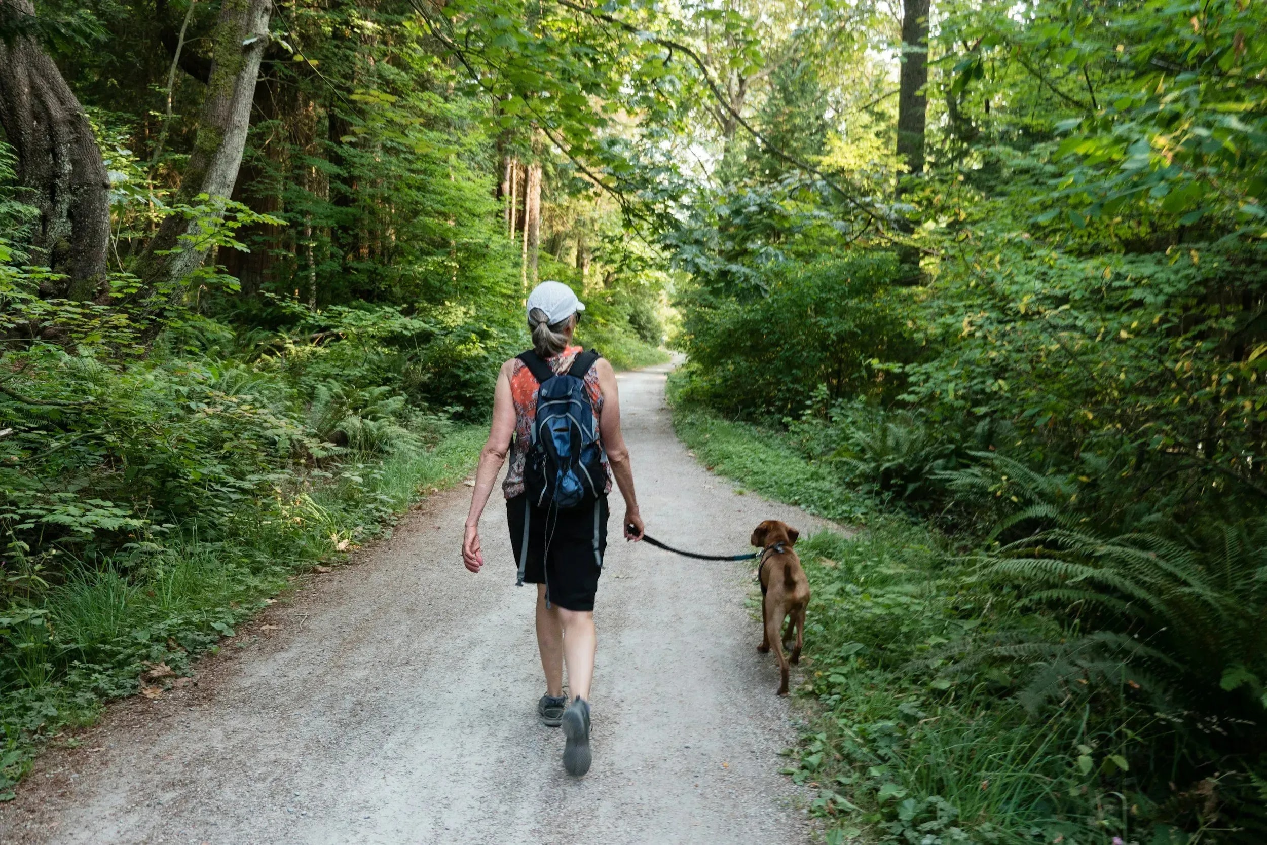 Urlaub mit Hund in Österreich